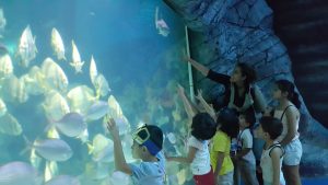 20160825_1140261